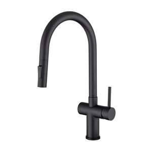 Rainlex Matte Black Single Handle Pull Down Kitchen Faucet With Supply Lines