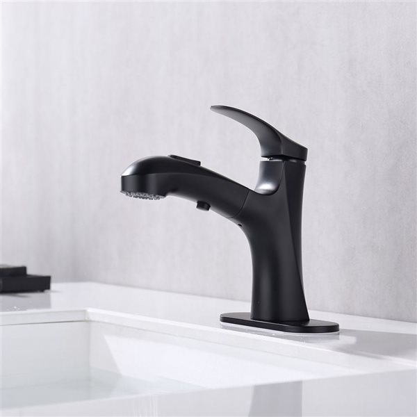 Rainlex 1-Handle Matte Black Vessel Sink Bathroom Faucet