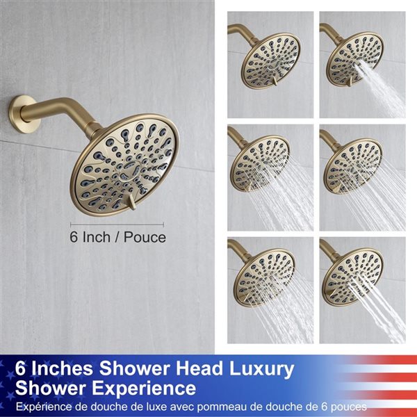 Rainlex Brushed Gold 6-in Single-Handle 6-Spray Shower Faucet with Handheld