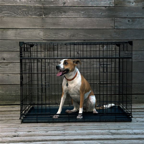 Lucky Dog Dwell Series 42 L x 28 W x 31-in H Black Sliding Door Dog Wire Crate