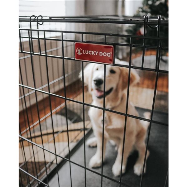 Lucky Dog Dwell Series 36 L x 24 W x 27-in H Black Sliding Door Dog Wire Crate