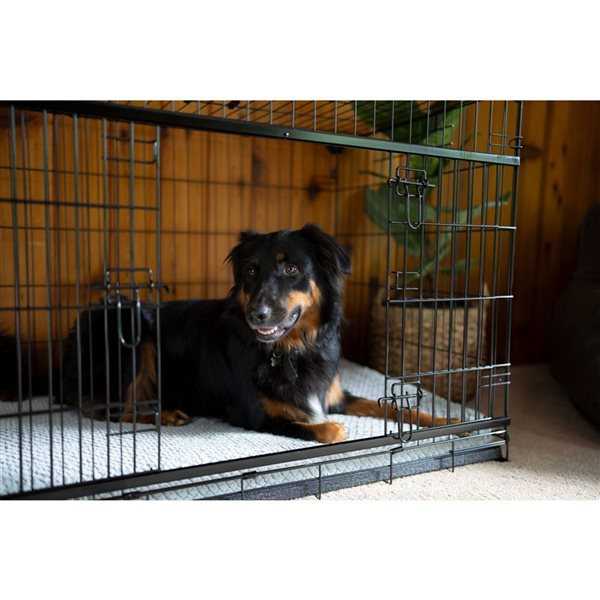 Dog crate with sliding door best sale