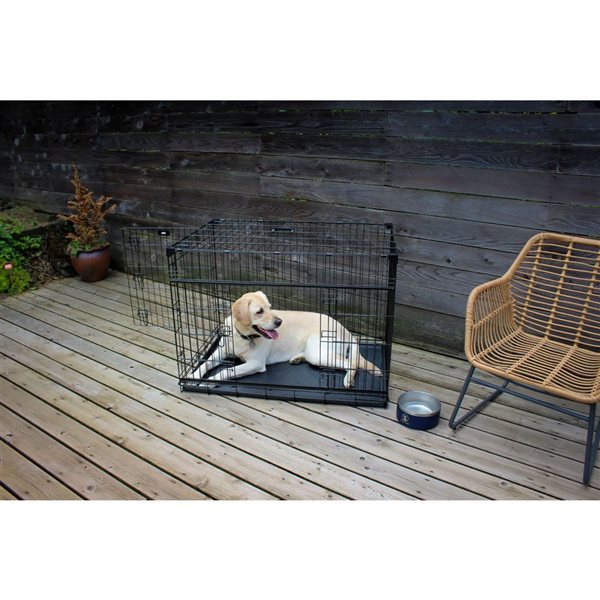 Lucky Dog Dwell Series 48 L x 30 W x 33-in H Black Sliding Door Dog Wire Crate