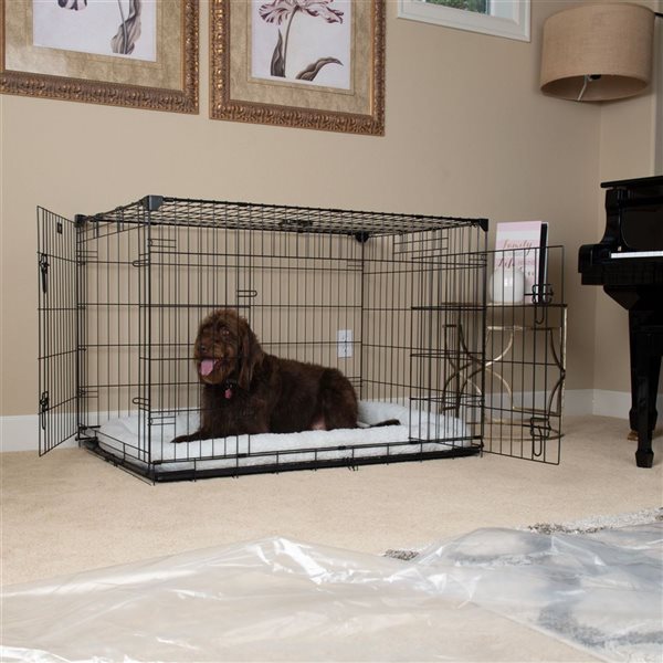 Lucky Dog Dwell Series 48 L x 30 W x 33-in H Black Sliding Door Dog Wire Crate