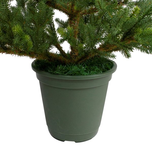 Northlight 6-ft Unlit Potted Noble Pine Slim Artificial Christmas Tree