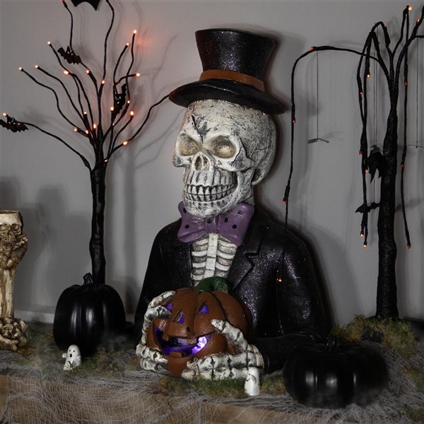 Northlight 23.5-in LED Lighted Skeleton with Jack-O-Lantern Halloween Decoration