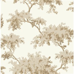 Papier peint autocollant Alder par NuWallpaper taupe