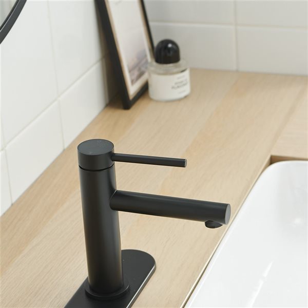 BWE Single Hole Single-Handle Bathroom Sink Faucet in Matte Black