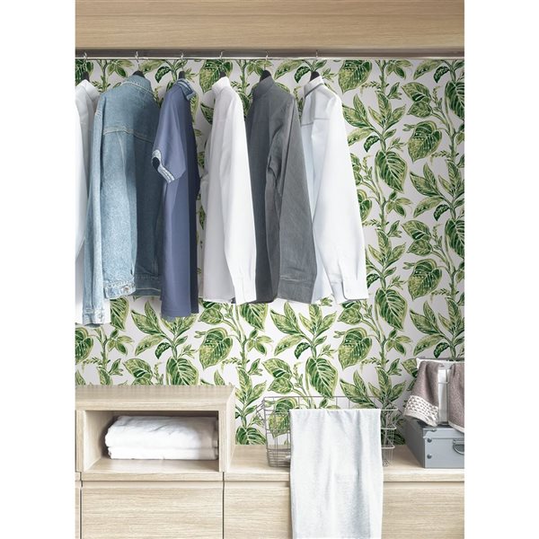 Papier peint pelable et autocollant Caryota par NuWallpaper vert