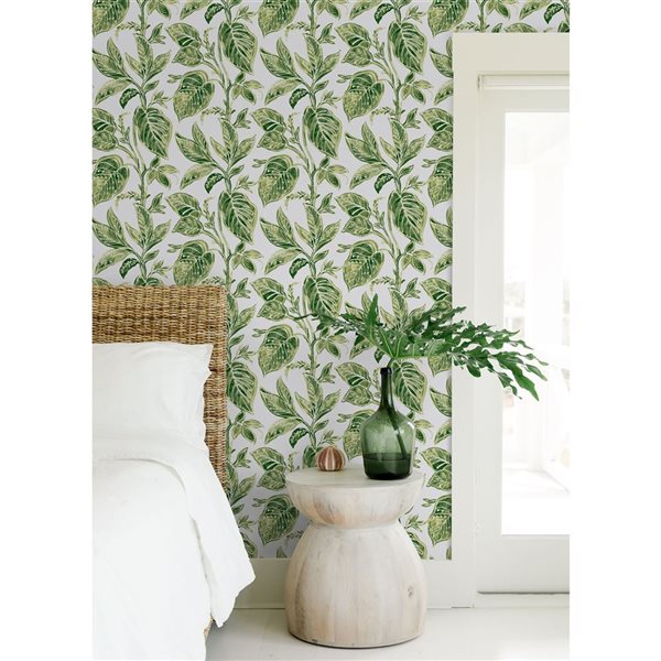 Papier peint pelable et autocollant Caryota par NuWallpaper vert