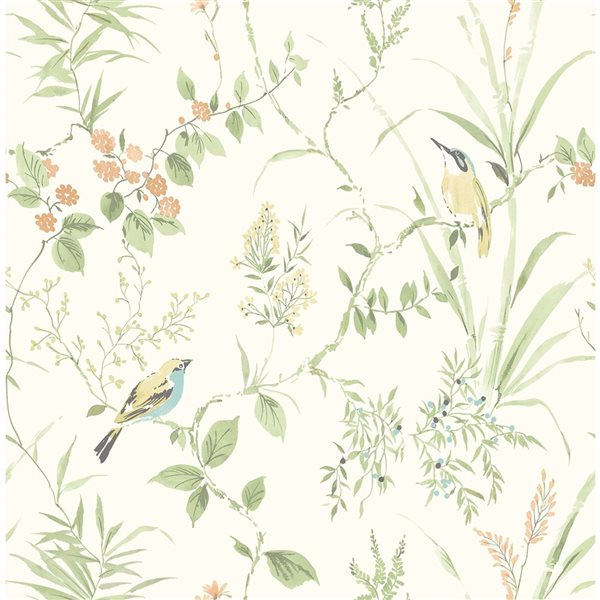 NuWallpaper Sage Songbird Peel and Stick Wallpaper