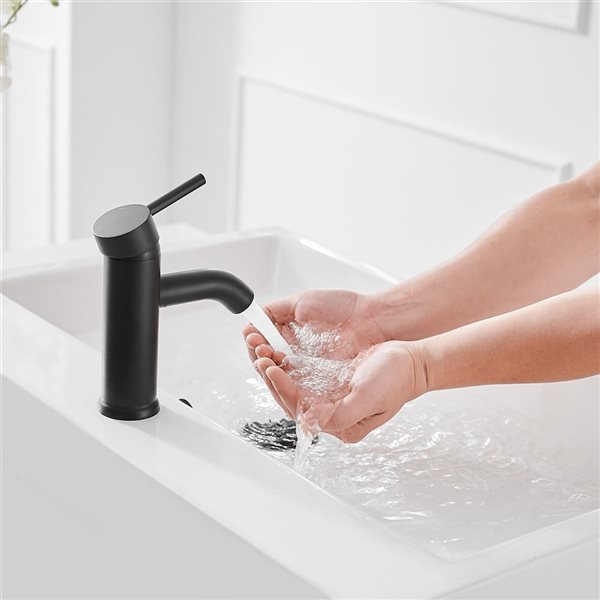 Single Hole Single-Handle Bathroom Faucet With Pop Up Drain in Matte Black