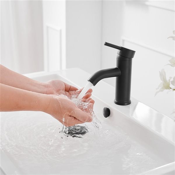 Single Hole Single-Handle Bathroom Faucet With Pop Up Drain in Matte Black