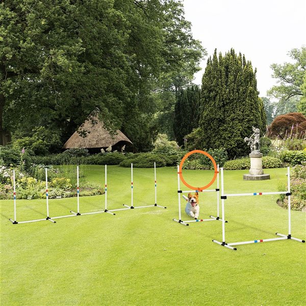 Dog agility training supplies best sale