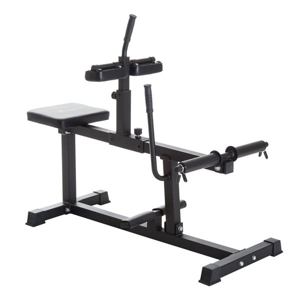 Soozier Adjustable Seated Calf Raise Machine A91-055 | RONA