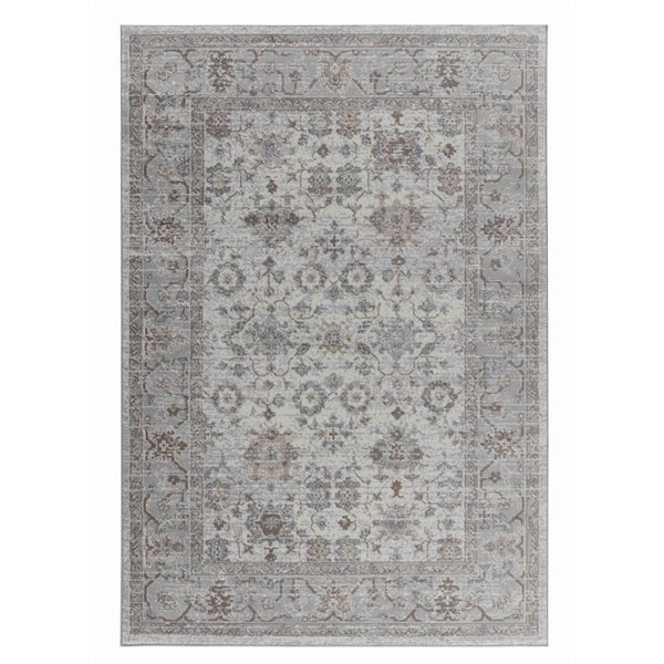 Tapis décoratif d'intérieur Sakarya de Rug Branch 5 x 8 pi style traditionnel brun/gris