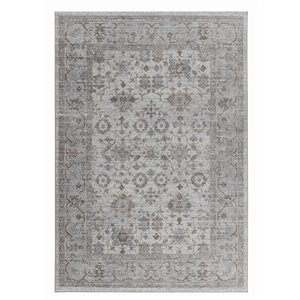 Tapis décoratif d'intérieur Sakarya de Rug Branch 5 x 8 pi style traditionnel brun/gris