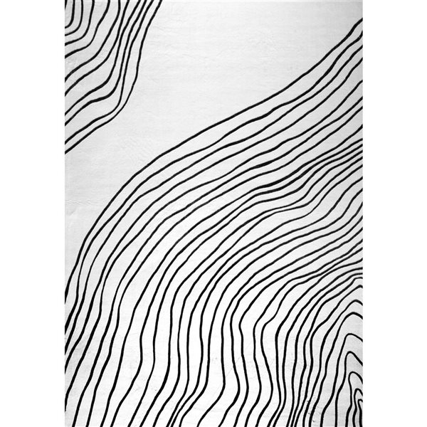 Tapis décoratif d'intérieur Eclipse de Rug Branch 5 x 8 pi abstrait à motif zébré noir/blanc