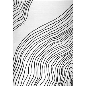 Tapis décoratif d'intérieur Eclipse de Rug Branch 5 x 8 pi abstrait à motif zébré noir/blanc