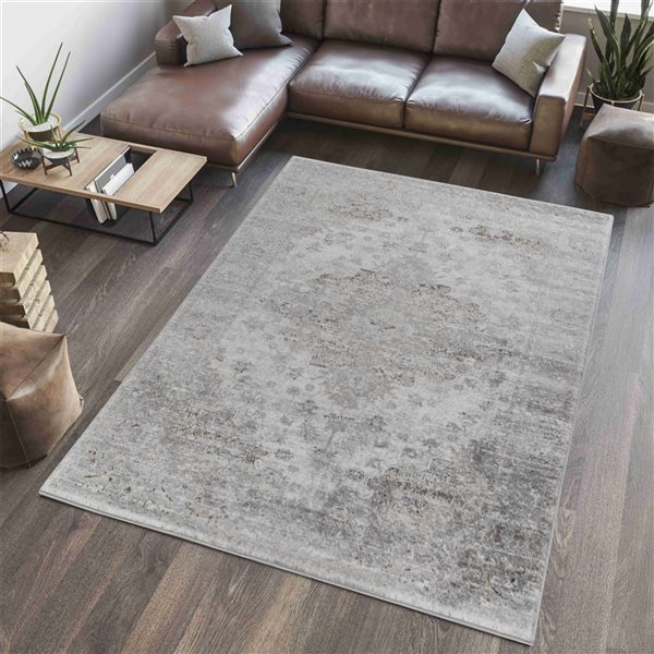 Tapis décoratif d'intérieur Sakarya de Rug Branch 7 x 10 pi style oriental gris usé/brun