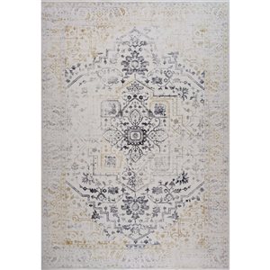 Tapis décoratif d'intérieur Aruba de Rug Branch 7 x 10 pi style rétro traditionnel gris/crème