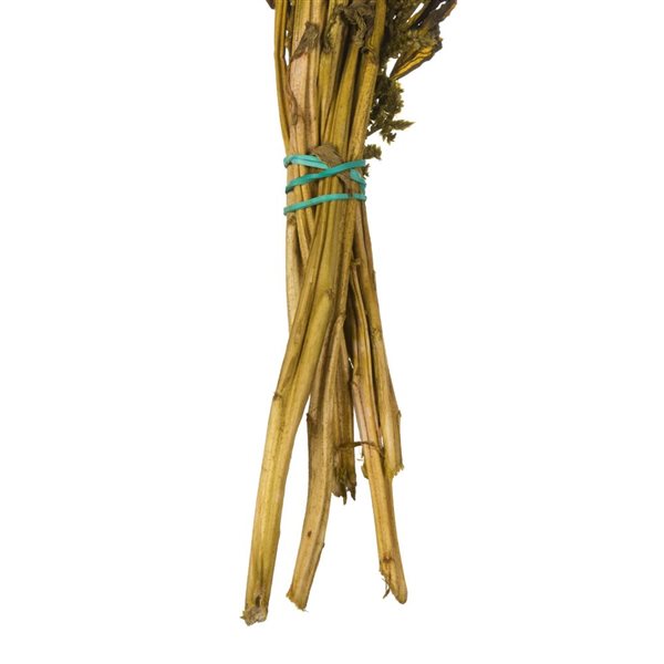 Vickerman 30-in Olive Green Amaranthus Bundle - Preserved