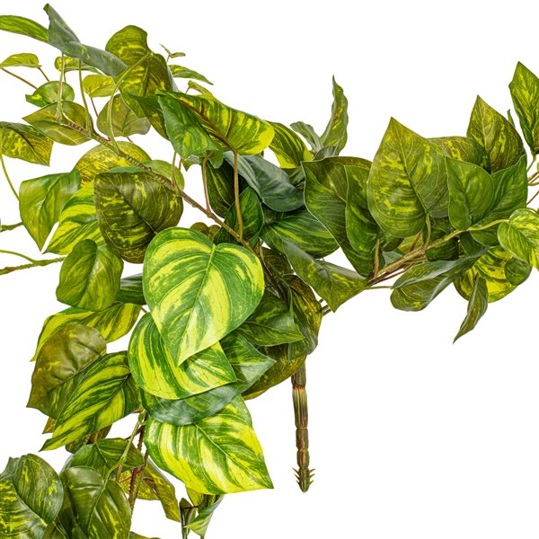 Vickerman 6-ft Artificial Pothos Hanging Bush