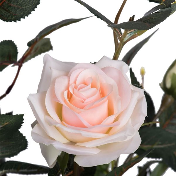 Vickerman 45-in Artificial Pink Rose Plant in Pot TA181879 | RONA