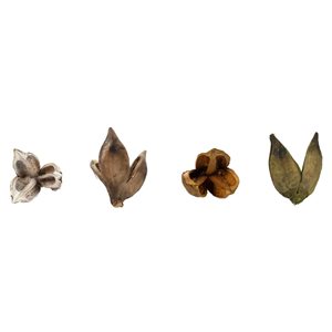 Vickerman 3-4-in Assorted Sora Pod - Bulk Assorted Colors - 25/Pack - Dried