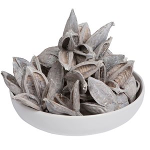 Vickerman 3-4-in White Wash Sora Pods - Dried - 25/Pack