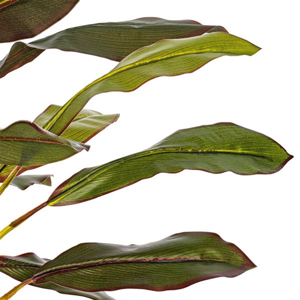 Vickerman 30-in Artificial Real Touch Dracaena