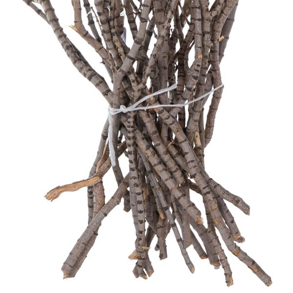Vickerman 36-in Tigerwood bundle - 25 stems per Bundle - Dried
