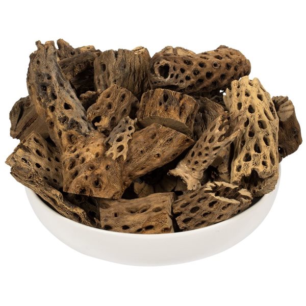 Vickerman 4 -18-in Assorted Cholla Odds & Ends - Dried