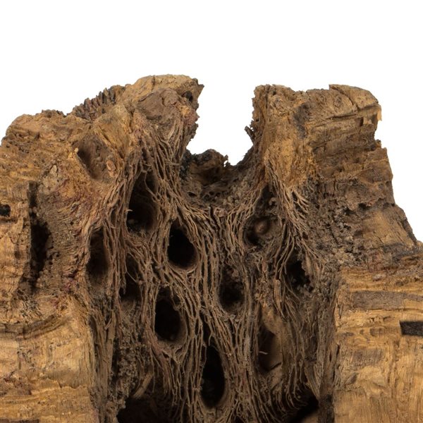 Vickerman 4 -18-in Assorted Cholla Odds & Ends - Dried