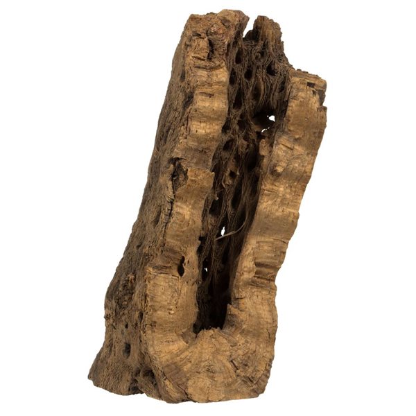 Vickerman 4 -18-in Assorted Cholla Odds & Ends - Dried