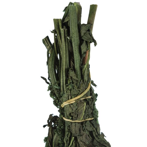 Vickerman 30-in Green Amaranthus Bundle - Preserved