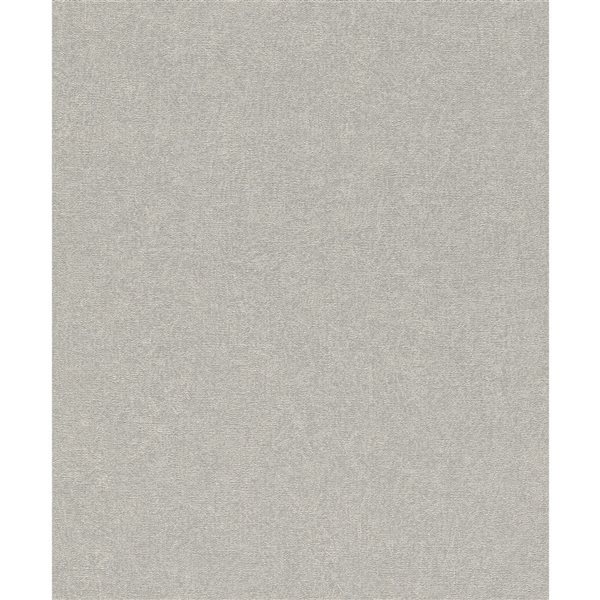 Papier peint 3D non encollé Dale Advantage 20,9 po l. x 33 pi L. texture béton gris clair/argent, couvre 57,5 pi²