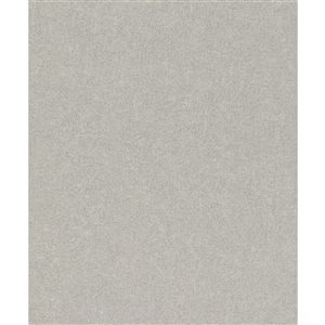 Papier peint 3D non encollé Dale Advantage 20,9 po l. x 33 pi L. texture béton gris clair/argent, couvre 57,5 pi²