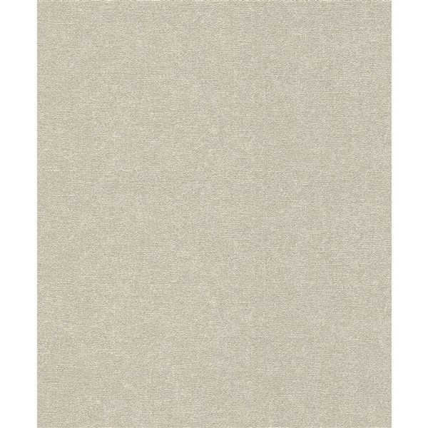 Papier peint 3D non encollé Dale Advantage 20,9 po l. x 33 pi L. texture béton gris, couvre 57,5 pi²