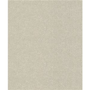 Papier peint 3D non encollé Dale Advantage 20,9 po l. x 33 pi L. texture béton gris, couvre 57,5 pi²