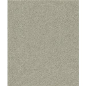 Papier peint 3D non encollé Blain Advantage 20,9 po l. x 33 pi L. étain massif texturé, couvre 57,5 pi²