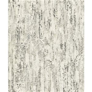 Papier peint non encollé Colm Advantage 20,9 po l. x 33 pi L. bouleau gris foncé texturé, couvre 57,5 pi²