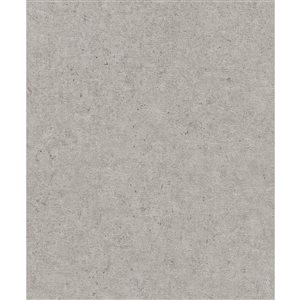 Papier peint non encollé Colm Advantage 20,9 po l. x 33 pi L. riz gris texturé, couvre 57,5 pi²