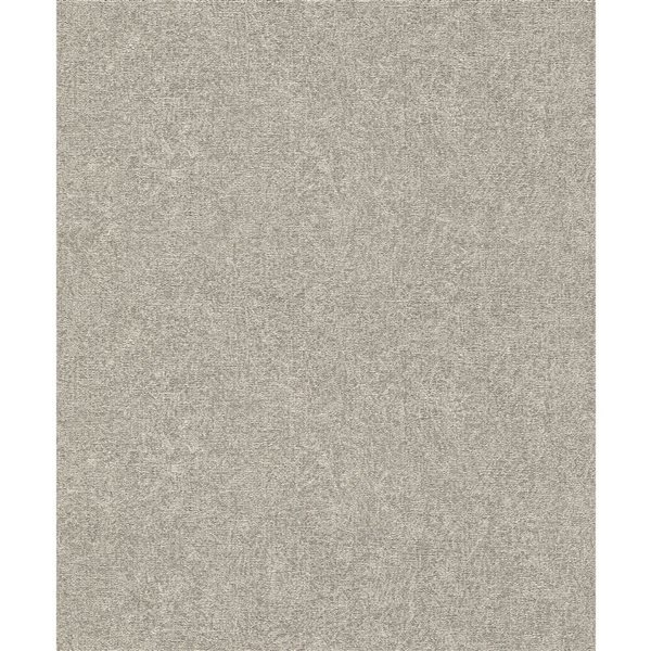 Papier peint 3D non encollé Dale Advantage 20,9 po l. x 33 pi L. texture béton gris pâle/étain, couvre 57,5 pi²