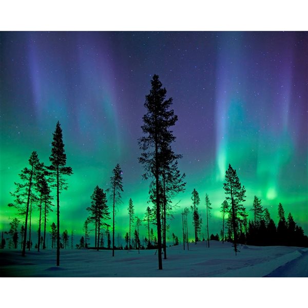 Wall Rogues Aurora Borealis Northern Lights Mural 9-ft 10-in x 7-ft 10-in