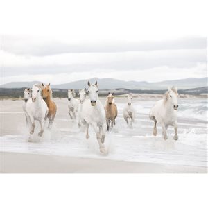 Komar White Horses Mural 8-ft 4-in x 12-ft 1-in