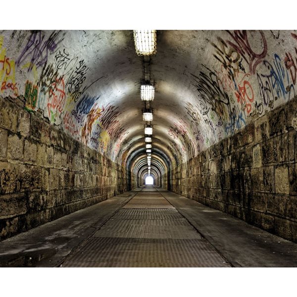 Wall Rogues Graffiti Tunnel Mural 9-ft 10-in x 7-ft 10-in