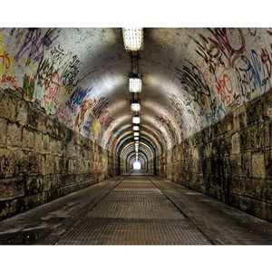 Wall Rogues Graffiti Tunnel Mural 9-ft 10-in x 7-ft 10-in