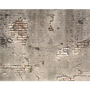 Wall Rogues Broken Concrete Mural 9-ft 10-in x 7-ft 10-in