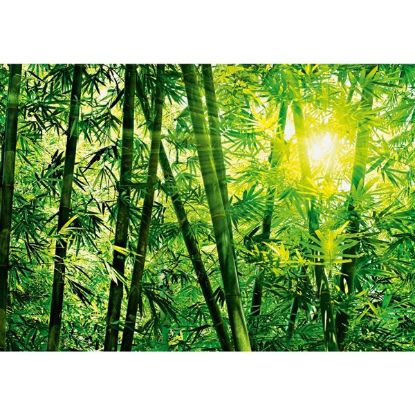 Wizard & Genius Bamboo Forest Mural 12-ft x 8-ft 4-in